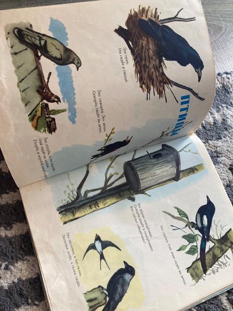 Russkij jazyk v kartinkach (1964), 