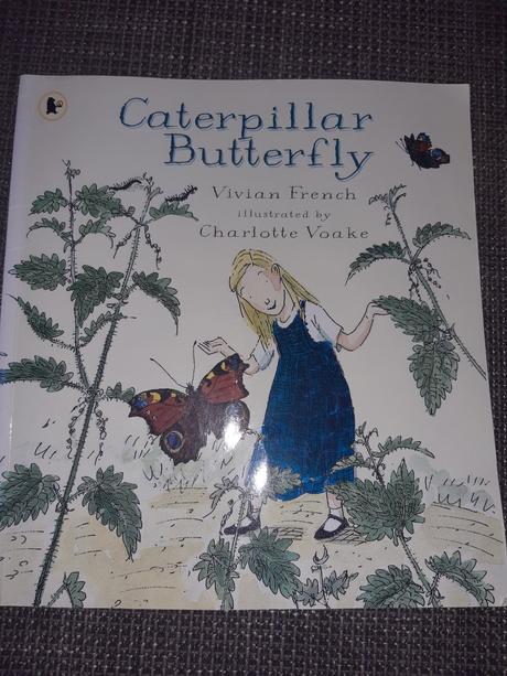 Caterpillar butterfly, 