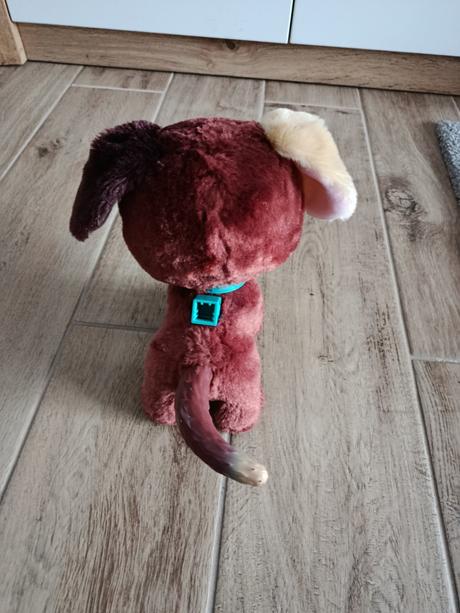 Interaktívny psík, 