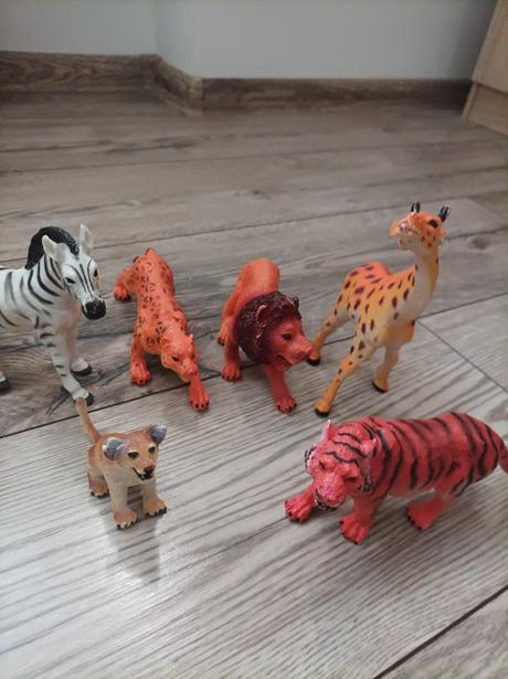 Zvieratá z dzungle, 