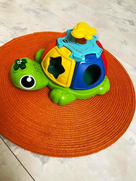 Spievajúca korytnačka, 