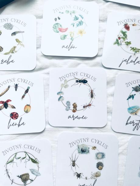 Životný cyklus - slovenské vzdelávacie kartičky,