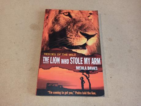 Anglicke citanie do knihobudky - chapter books, 