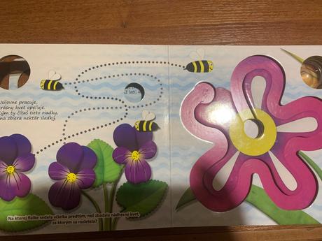 Kniha vcielka guličkové bludisko,