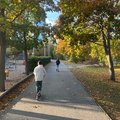 autumn is beautiful