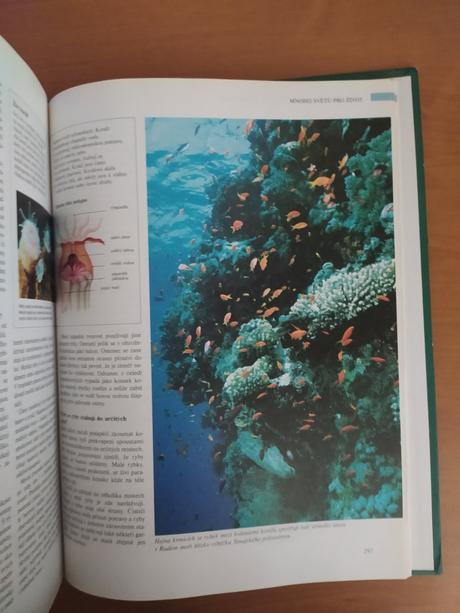 Abc prírody - svet v otázkach a odpovediach (1997), 