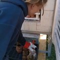 pec vyskusana fajne bavi