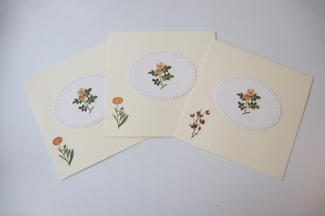 Pohľadnice, rastliny, 3ks, 