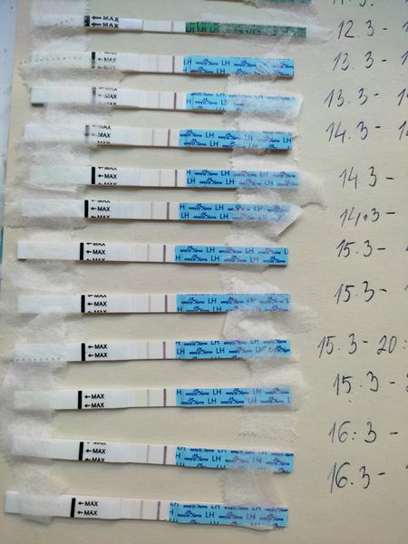 Ako zistiť, či už prebehla ovulácia?