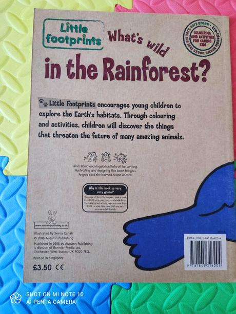 Who is wild in the rainforest - p,