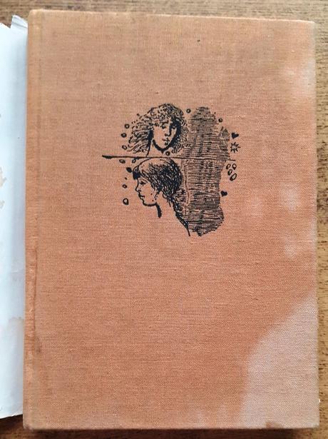 Bohatier v býčej koži, milan ferko,