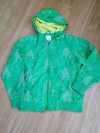 Vetrovka, glo-story,128
