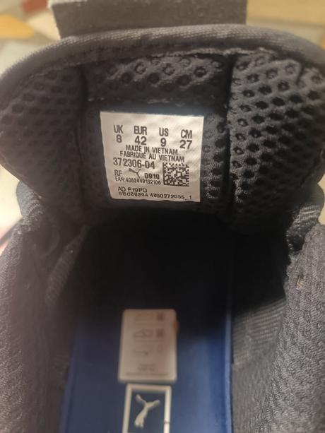 Top stav, puma,42