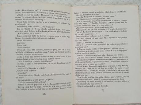 Božena mačingová - danuška,