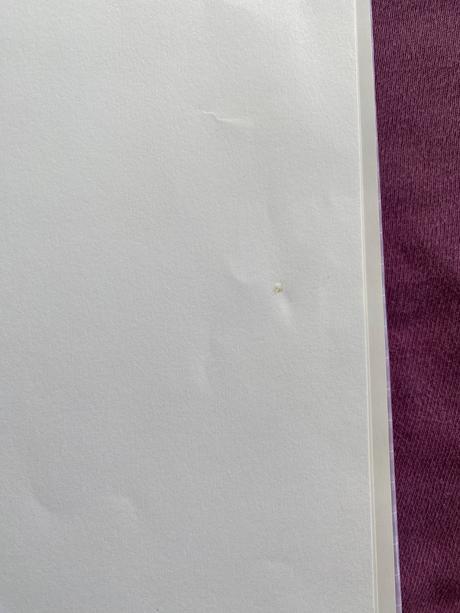 Kniha vetrík a jeho kamaráti, 