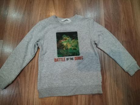 Mikina s dinosaurom, h&m,110