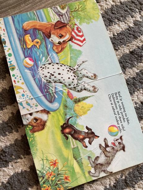 Veselé šteniatka a medvedík na prechádzke, 