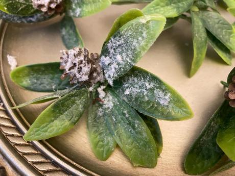 Lístočky zasnežené so šiškou 7 ks ( sada ), 