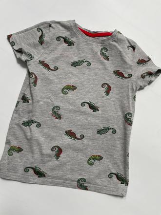 Tričko s chameleónmi, 134