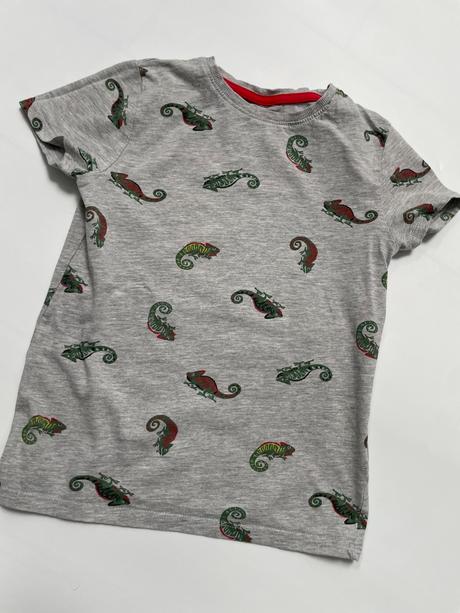 Tričko s chameleónmi, 134