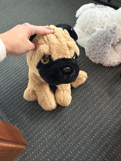 Plyšové zvieratká, 