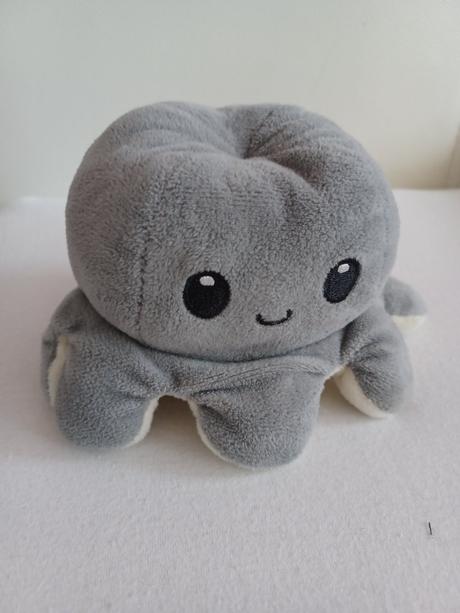 Obojstranná chobotnica,