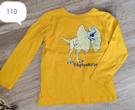 Tričko, 110