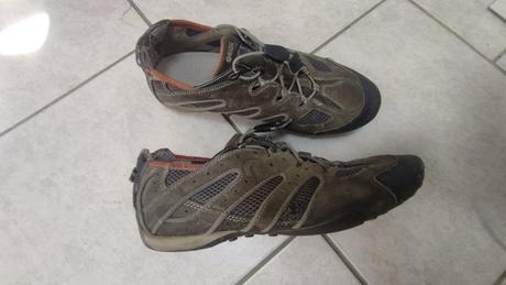 Topánky geox, geox,42