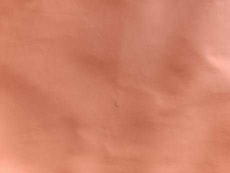 Lupilu nohavice do dažďa, lupilu,86