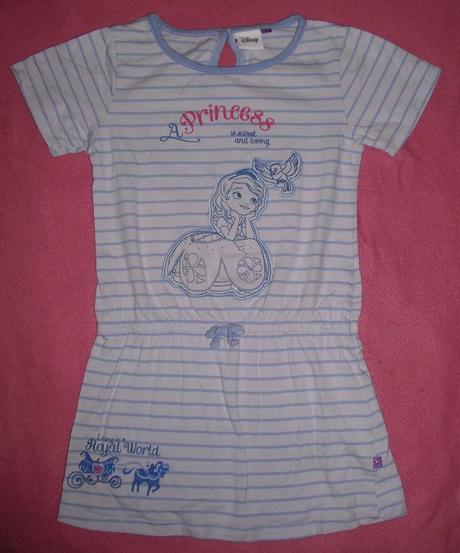 Princes karnevalove saticky disney,