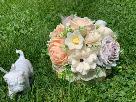 Mydlova kytica na brezovom dreve, 