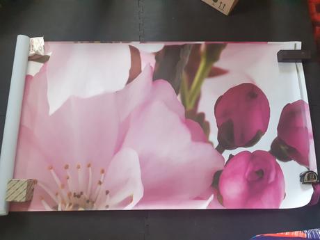 Fototapeta 254 x 184 cm - jabloňové kvety,