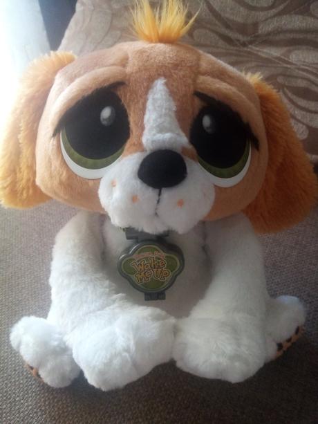 Plyšový psík, 