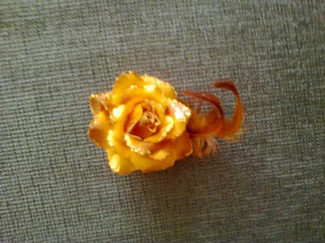 Brošňa alebo ozdoba do vlasov,