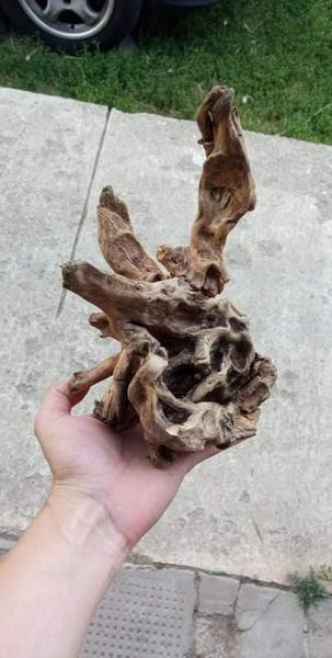 Hľadám znalca akvaristiky