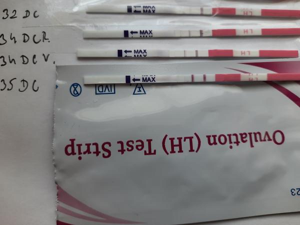 Pozitívny ovulačný test