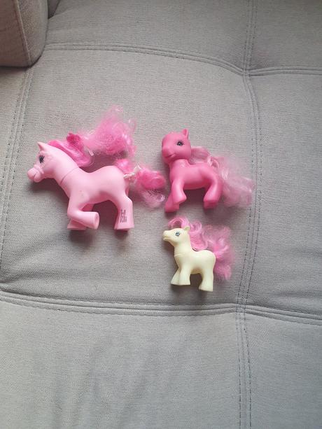 Predám 3 ks poníky, 