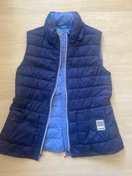 Vesta geox, geox,128