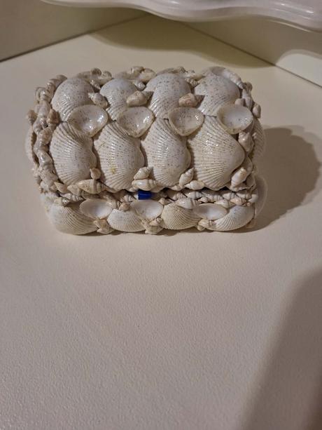 Šperkovnica z mušlí, 
