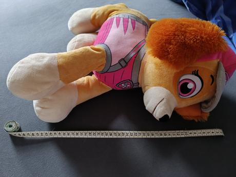 Paw patrol,