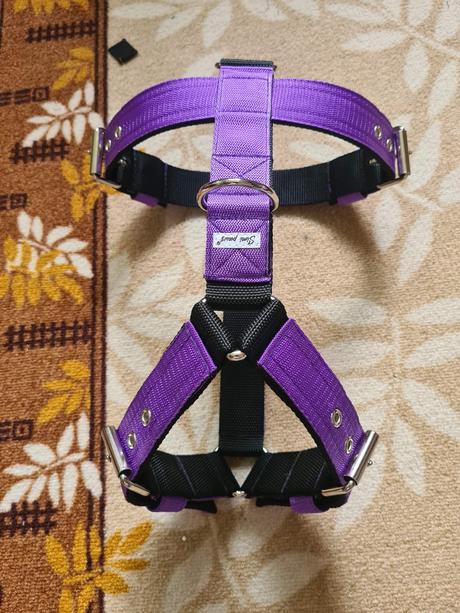 Postroj pre silné bull plemená, 