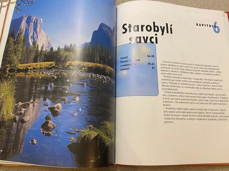 Savci vědomosti v kostce anatomie chování oblasti, 