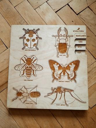 Skladačka životný cyklus hmyz, 