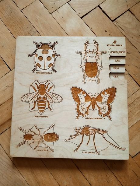 Skladačka životný cyklus hmyz, 