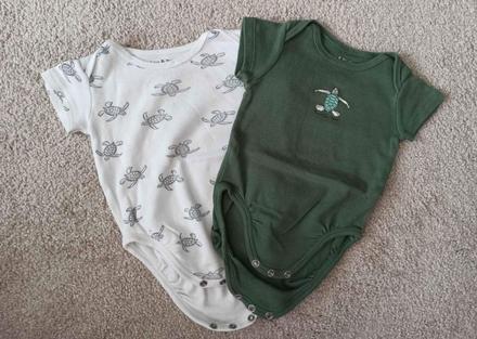 Body, fox & bunny,74