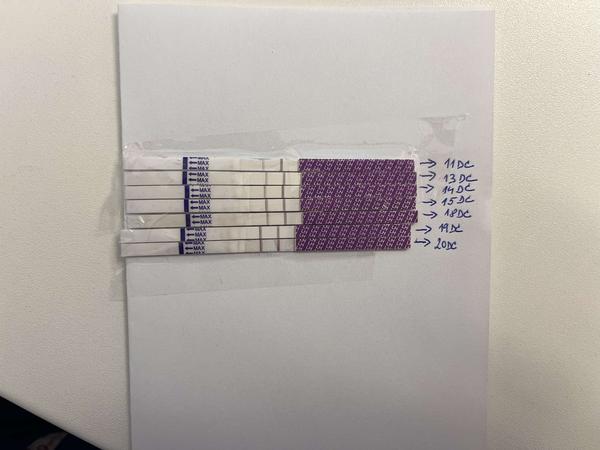 Dlho pozitívny ovulačný test: Skúsenosti a rady