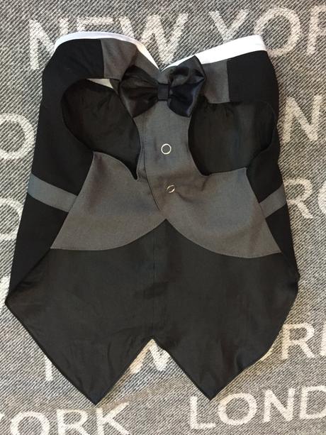 Pes, sviatocne oblecenie s motylikom m,