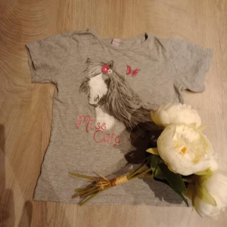 Tričko, dopodopo,110