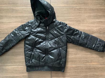 Bunda, puma,152
