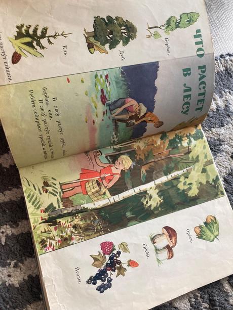 Russkij jazyk v kartinkach (1964), 